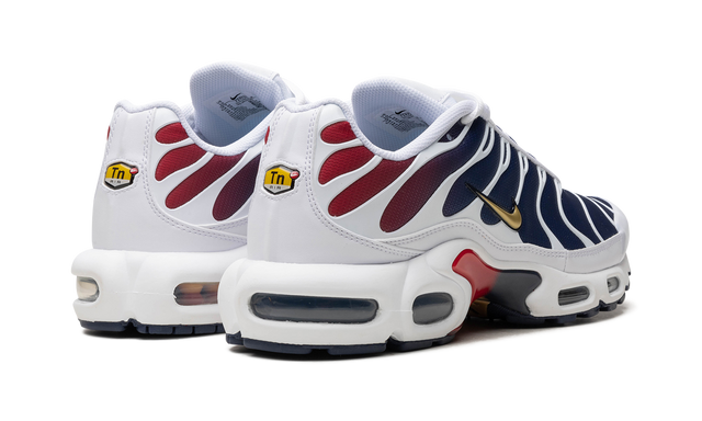 Air Max TN Plus PSG