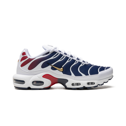 Air Max TN Plus PSG